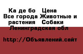 Ка де бо › Цена ­ 25 - Все города Животные и растения » Собаки   . Ленинградская обл.